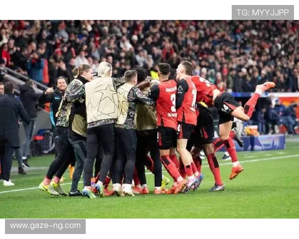 拜耳勒沃库森新赛季阵容调整与欧战前景全面解析聚焦球队最新动态