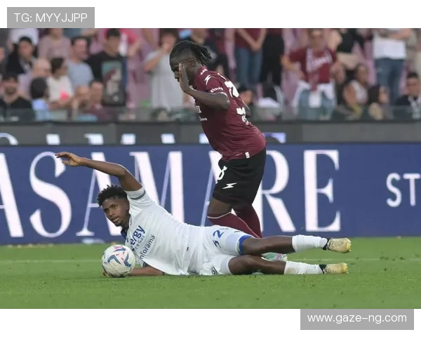 维罗纳俱乐部：意大利足球历史中的璀璨之星与辉煌成就