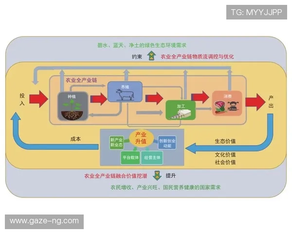 围绕南特俱乐部历史传承与未来发展路径的深度观察与分析全面研究
