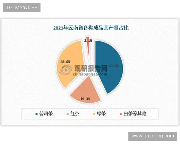 赛场数据解读与战术趋势的深度分析报告